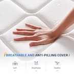 Queen Medium Firm Hybrid  12 in. Mattresses, Motion Isolation and Breathable