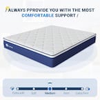 Queen Medium Firm Hybrid  12 in. Mattresses, Motion Isolation and Breathable