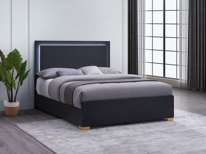 Marceline Wood  LED Panel Bed Black ( mattress not included)