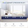 Queen Medium Firm Hybrid  12 in. Mattresses, Motion Isolation and Breathable
